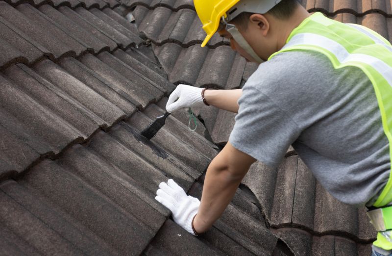 Roof Repair and Maintenance
